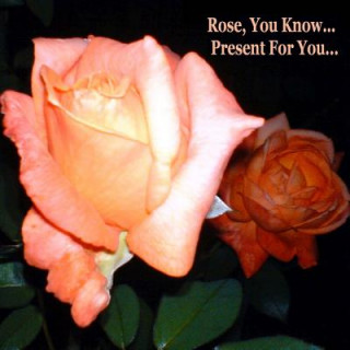 Knjiga Rose, You Know - Present for You MR Christoph Gabriel Gottel