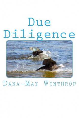 Książka Due Diligence Dana-May Winthrop