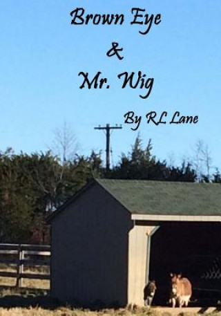 Buch Brown Eye & Mr. Wig Rl Lane