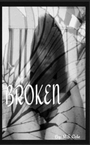 Knjiga Broken R S Cole