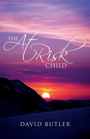 Книга The At Risk Child David Butler