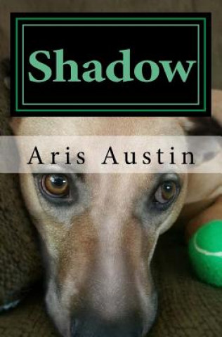 Βιβλίο Shadow Aris Austin