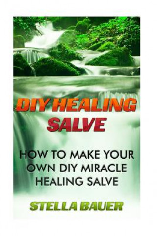 Kniha DIY Healing Salve: How To Make Your Own DIY Miracle Healing Salve Stella Bauer