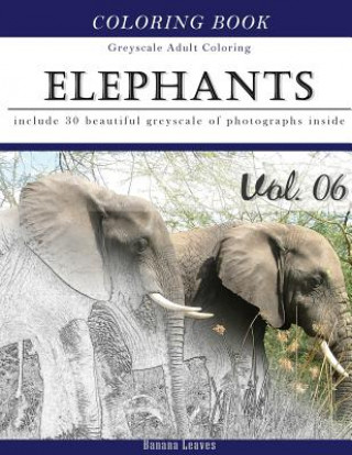 Kniha Elephants Wild Safari: Animal Gray Scale Photo Adult Coloring Book, Mind Relaxation Stress Relief Coloring Book Vol6: Series of coloring book Banana Leaves