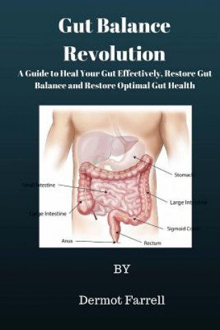 Kniha Gut Balance Revolution: A Guide to Heal Your Gut Effectively, Restore Gut Balance and Restore Optimal Gut Health MR Dermot Farrell