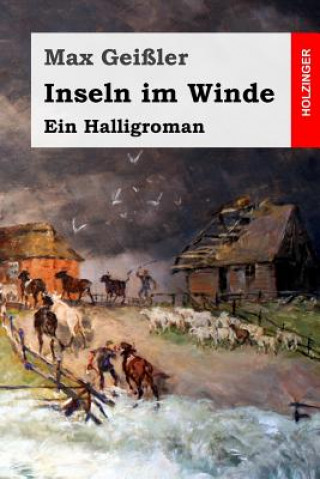 Könyv Inseln im Winde: Ein Halligroman Max Geissler