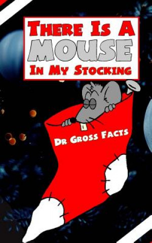 Boek There Is a Mouse in Your Stocking Dr Gross Facts