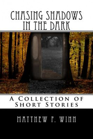Kniha Chasing Shadows in the Dark: A Collection of Short Stories Matthew F Winn