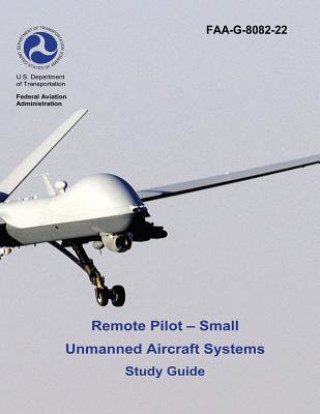 Small unmanned best sale aircraft systems