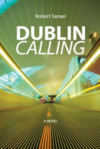 Buch Dublin Calling Robert Sanasi