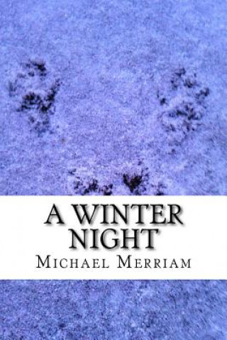 Knjiga A Winter Night Michael Merriam
