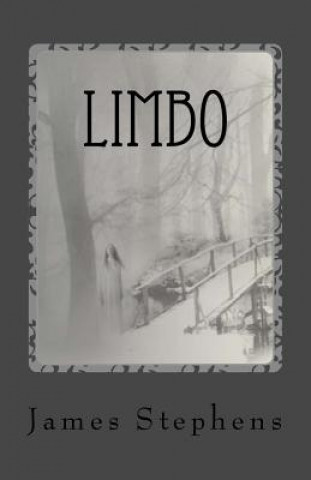 Carte Limbo: book 2 of the Afterlife Chronicles James Stephens