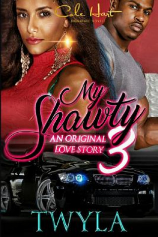 Kniha My Shawty 3 Twyla T