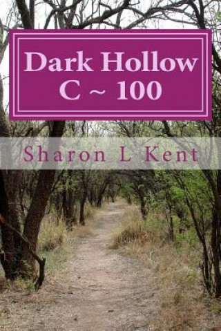 Kniha Dark Hollow C 100 Sharon L Kent