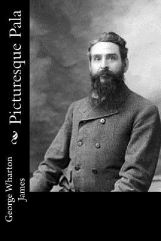 Knjiga Picturesque Pala George Wharton James