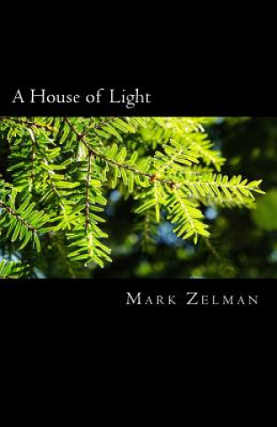 Buch A House of Light Mark Zelman