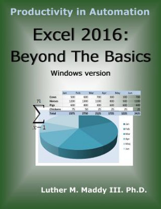 Książka Excel 2016: Beyond the Basics Dr Luther M Maddy III