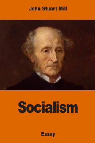 Kniha Socialism John Stuart Mill