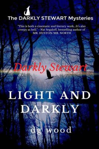 Carte The Darkly Stewart Mysteries: Light and Darkly Dg Wood