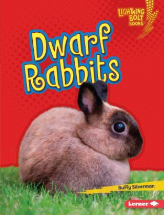 Kniha Dwarf Rabbits Buffy Silverman