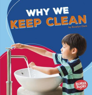 Knjiga Why We Keep Clean Rosalyn Clark
