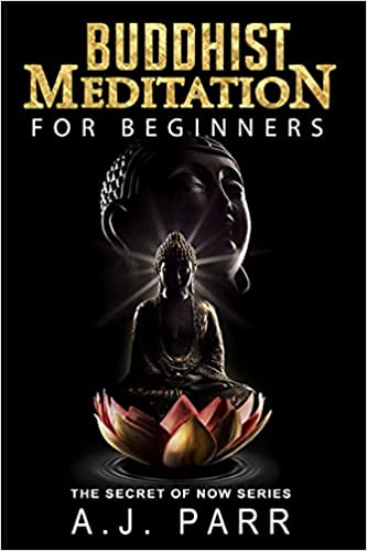 Kniha Buddhist Meditation for Beginners: (Understanding Dalai Lama, Eckhart Tolle, Jiddu Krishnamurti & Alan Watts) A J Parr