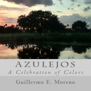 Книга Azulejos: A Celebration of Colors MR Guillermo E Moreno