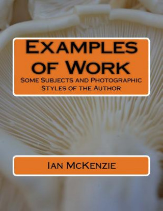 Kniha Examples of Work: Some Subjects and Photographic Styles of the Author Ian McKenzie