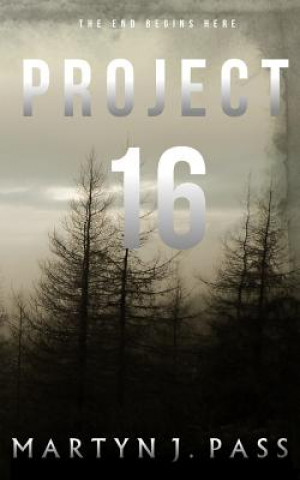 Βιβλίο Project 16 Martyn J Pass