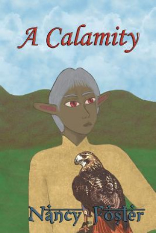 Buch A Calamity Nancy Foster
