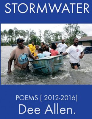 Buch Stormwater: Poems [ 2012-2016 ] MR Dee Allen