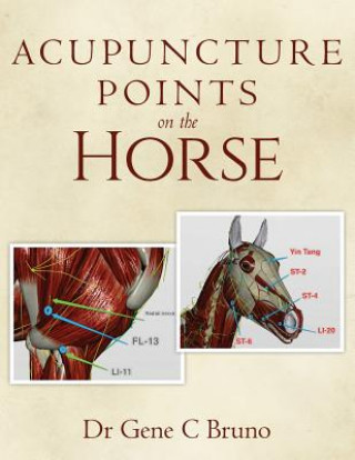Książka Acupuncture Points on the Horse Dr Gene C Bruno