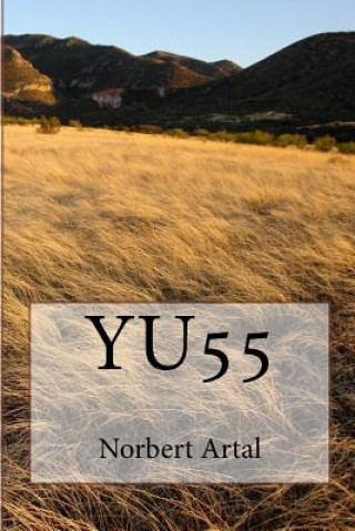 Book Yu55 Norbert Artal