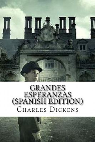 Book Grandes Esperanzas DICKENS