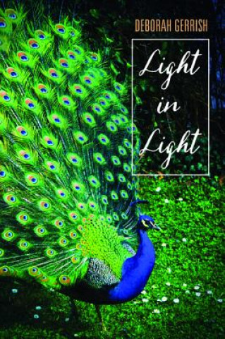 Libro Light in Light Deborah Gerrish
