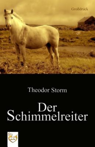 Kniha Der Schimmelreiter (Großdruck) Theodor Storm