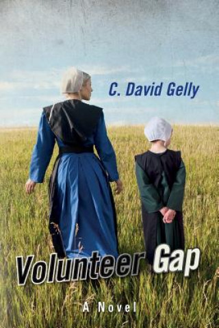 Kniha Volunteer Gap C David Gelly