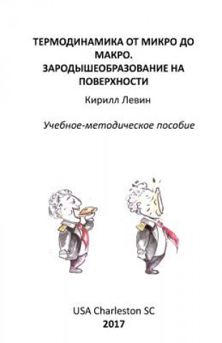 Könyv Thermodynamics from Micro to Macro. Nucleation at the Surface: Textbook with Exercises and Examples Kirill Levine