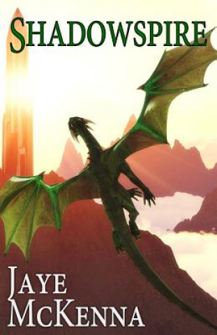 Buch Shadowspire Jaye McKenna