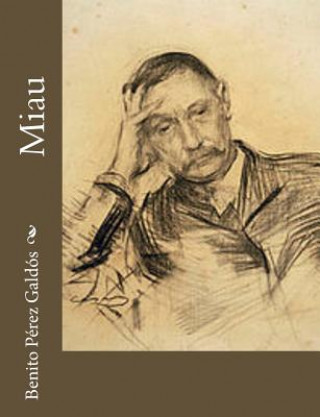 Buch Miau Benito Perez Galdos