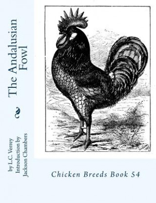 Kniha The Andalusian Fowl: Chicken Breeds Book 54 L C Verrey