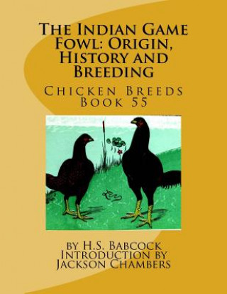 Carte The Indian Game Fowl: Origin, History and Breeding: Chicken Breeds Book 55 H S Babcock