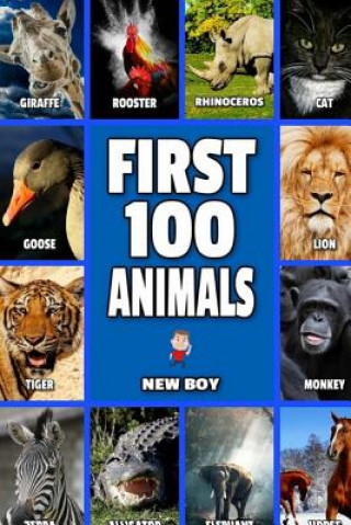 Knjiga First 100 Animals: Full Color Animal Book New Boy