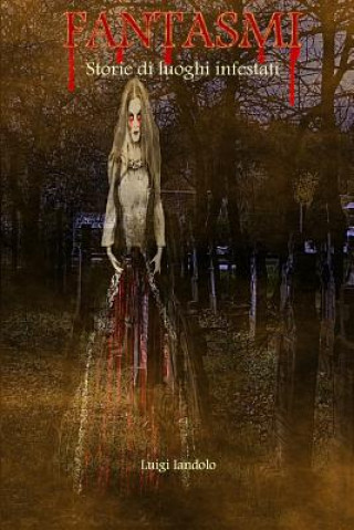 Boek Fantasmi Luigi Iandolo