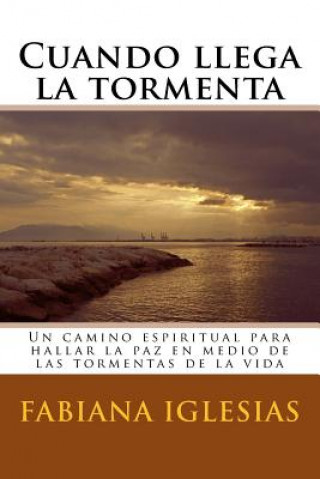 Boek Cuando llega la tormenta Fabiana Iglesias