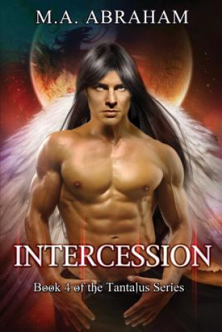 Book Intercession M a Abraham