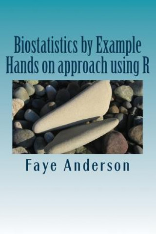 Könyv Biostatistics by Example: Hands on approach using R Faye Anderson