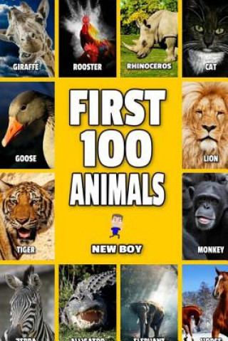 Knjiga First 100 Animals: Full Color Animal Book New Boy