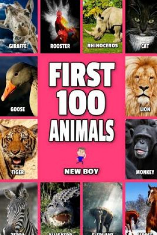 Knjiga First 100 Animals: Full Color Animals Book New Boy