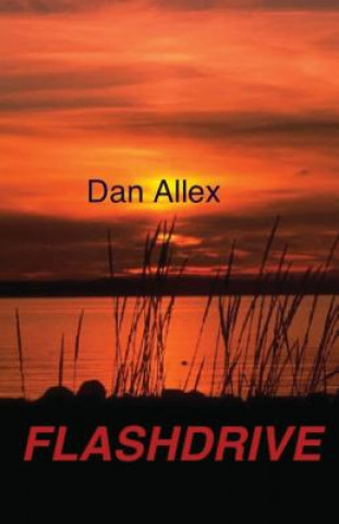 Book Flashdrive Dan Allex